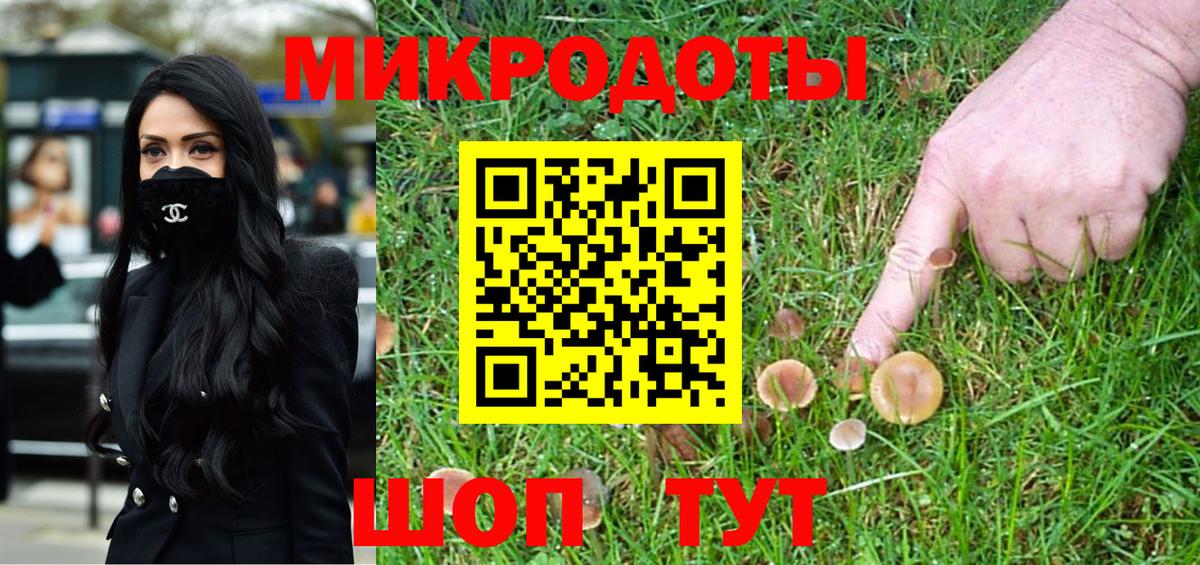 Галлюциногенные грибы MAGIC MUSHROOMS  Псилоцибиновые грибы Psilocybine cubensis  наркошоп  Усть-Лабинск 