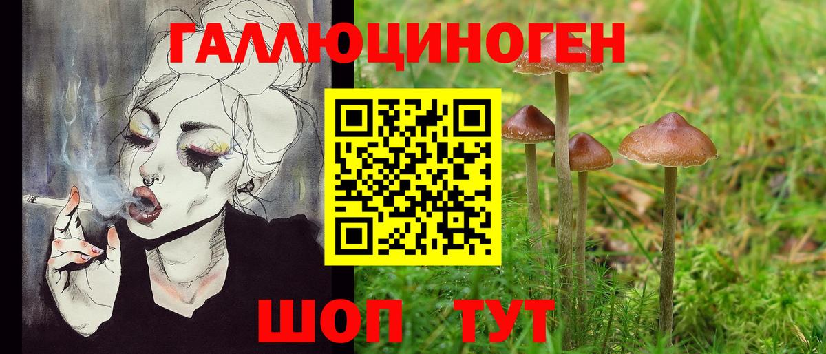 Усть-Лабинск  Псилоцибиновые грибы Cubensis  Вход с VPN 